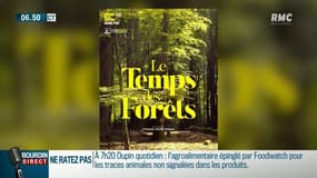 Nos forêts devenues des "usines à bois": le documentaire militant d'un réalisateur français