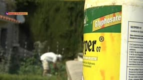 Une bouteille de Glyper contenant du glyphosate, le pesticide auquel aurait été exposé Théo Grataloup