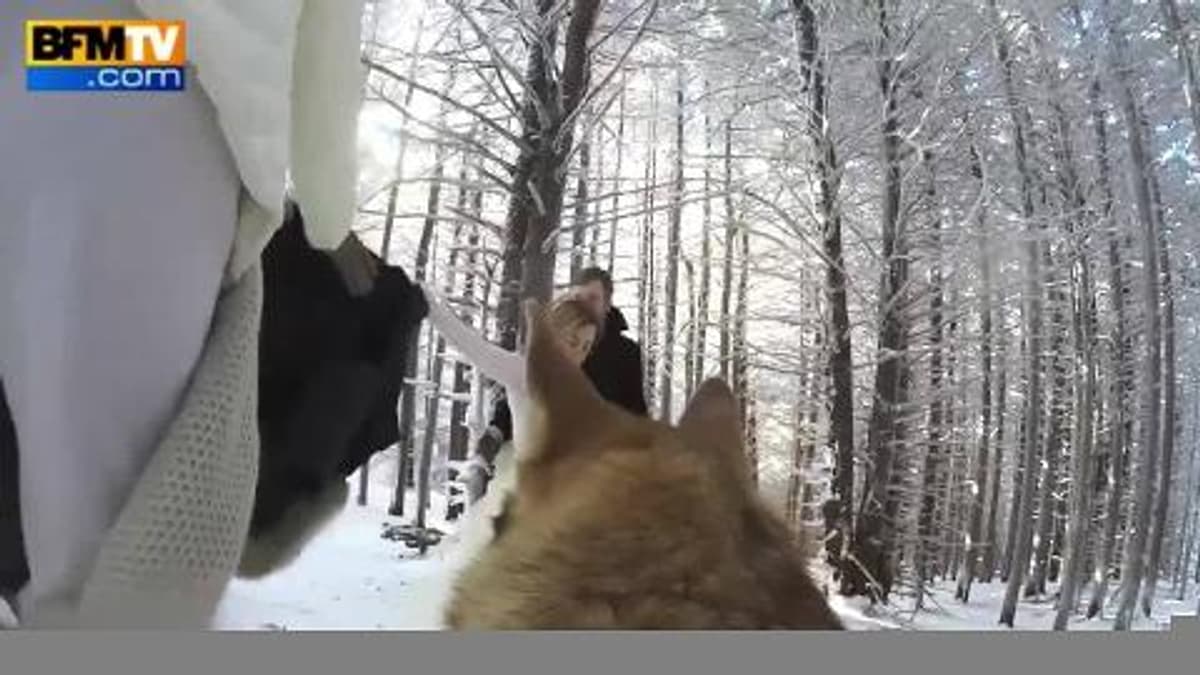placeholder video