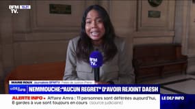 "Oui j’ai rejoint la Syrie, quand la liberté est attaquée, il faut la défendre au prix de la guerre": les mots de Medhi Nemmouche à son procès
