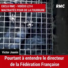 Faut-il interdire les élevages à fourrure?