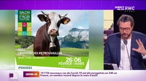 Et voici Neige, vache choisie comme égérie du prochain Salon de l'Agriculture