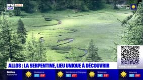 Alpes-de-Haute-Provence: la serpentine, un lieu unique et précieux à découvrir à Allos
