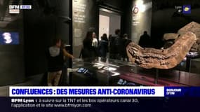 Coronavirus: des mesures sanitaires pour limiter les risques au musée des Confluences