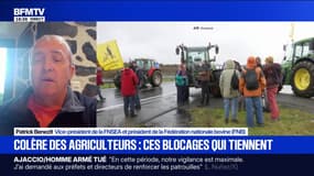 Colère des agriculteurs: "Les réponses qu'on nous a adressées sont extrêmement faibles", déplore Patrick Benezit, vice-président de la FNSEA