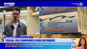 Métropole de Toulon: des comprimés d'iode distribués dans les communes proches du port militaire