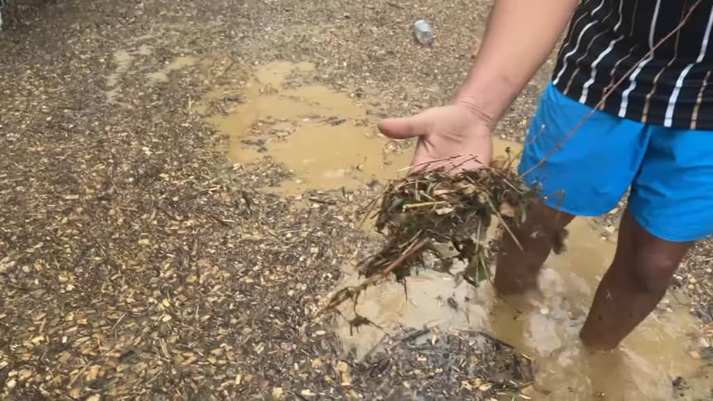 L'entrée du garage de Nabil est bloquée par l'eau et la végétation. L'entrée du garage de Nabil est bloquée par l'eau et la végétation.
