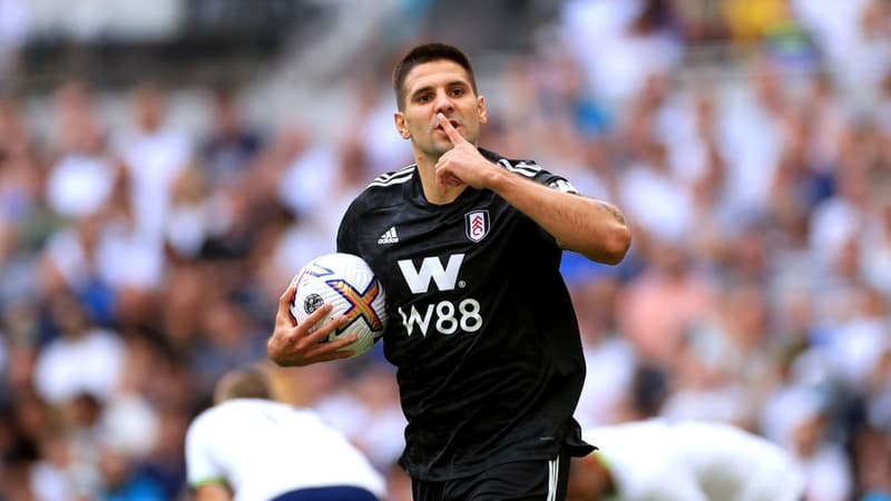 Aleksandar Mitrovic - Fulham