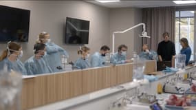 Clinic-All est un centre de formation qui accompagne de nombreux dentistes dans l’évolution de leur métier, à travers des formations engageantes et un cadre de travail convivial. 