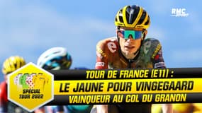 Tour de France E11 : L'énorme coup de Vingegaard nouveau maillot jaune, Bardet 2e