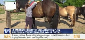 Une semaine en ...: La randonnée équestre, une activité en plein air pour un contact privilégié avec le cheval