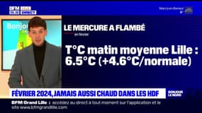 Hauts-de-France: un mois de février record au niveau de la chaleur