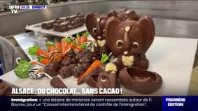 Un chocolat alsacien propose du chocolat sans cacao pour Pâques