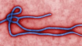 Une Nigérianne récemment rentrée en Italie présente des symptômes similiares à ceux d'Ebola.