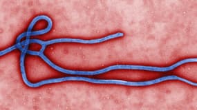 Une Nigérianne récemment rentrée en Italie présente des symptômes similiares à ceux d'Ebola.