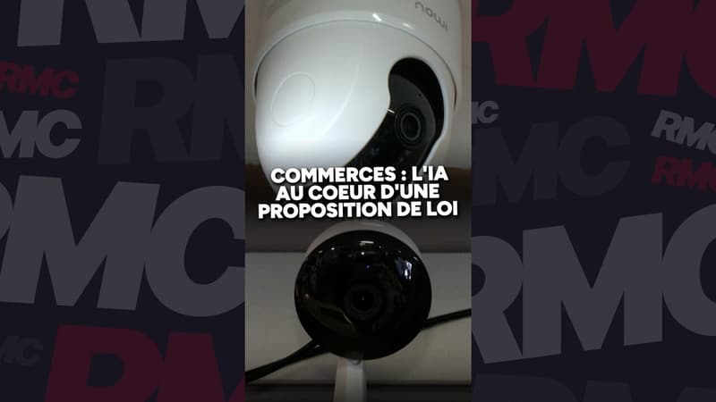 L'IA, seule solution pour empêcher les vols dans les commerces?
