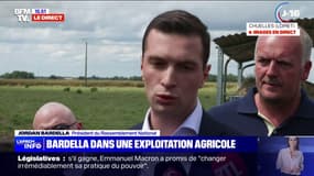 "La première mesure que je ferai adopter, c'est la suppression du droit du sol", explique Jordan Bardella