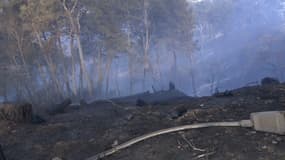 Un incendie s'est déclaré samedi matin sur la commune de Colomars, près de Nice.