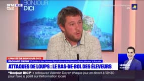 Problème du loup: pour le président des Jeunes Agriculteurs, les paroles d'Emmanuel Macron "sont à prendre avec des pincettes"