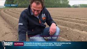 "La terre est complètement desséchée": l'inquiétude des agriculteurs du nord qui font face à un épisode de sécheresse