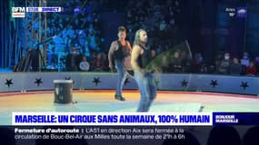 Marseille: un cirque sans animaux, "100% humain"