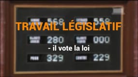 Elections législatives : quel est le rôle d'un député ?