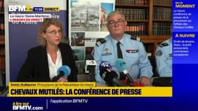 Chevaux mutilés en Normandie : le prévenu dit avoir "obéi à des pulsions"
