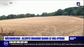 Sécheresse: 47 communes en restriction d'eau, le Val d'Oise est en alerte "renforcée"
