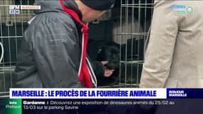 Marseille: nouvel épisode judiciaire du conflit opposant la Ville et la SPA sur l'attribution du marché de la fourrière animale