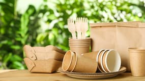 Les contenants plastiques à usage unique seront interdits dans l'UE d'ici au 1er janvier 2030 dans les cafés et restaurants, pour les aliments et boissons consommés sur place.
