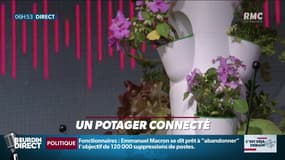 La chronique d'Anthony Morel : Un potager connecté - 26/04