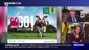 Story 5 : colère des agriculteurs, on remet ça ? - 12/02