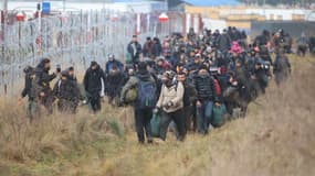 Un groupe de migrants se déplace le long de la frontière biélorusse-polonaise en direction d'un camp pour rejoindre ceux qui sont rassemblés sur place et qui visent à entrer en Pologne, membre de l'UE, dans la région de Grodno, le 12 novembre 2021. Des centaines de migrants désespérés sont piégés par des températures glaciales à la frontière et la présence de troupes des deux côtés fait craindre une confrontation.