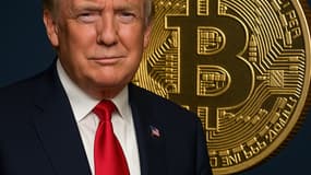 trump avec bitcoin