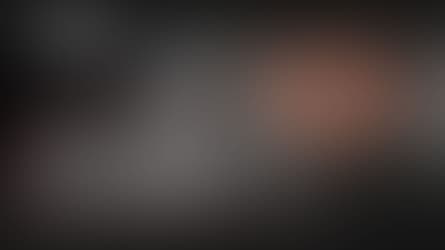 Dupont de Ligonnès, la série