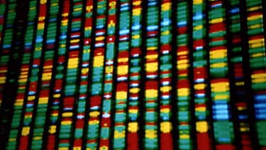 La police scientifique identifie les auteurs d'infractions par des moyens scientifiques, tels que l'analyse ADN.