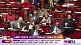 Inscription IVG Constitution: Vote crucial au Sénat