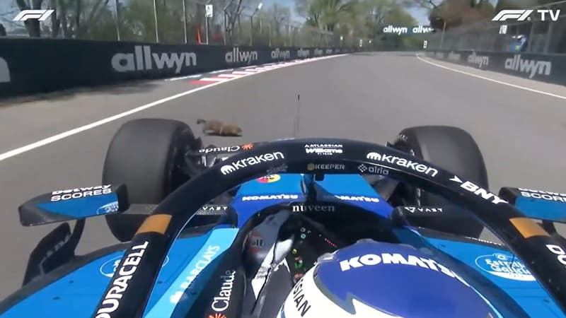 Une marmotte a provoque l accident d Alex Albon sur les essais libres du GP du Canada le 22 mai 2026 2290973