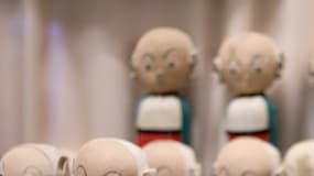 Becassine, le 2 février 2015