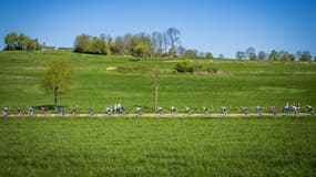 L'Amstel Gold Race en 2019