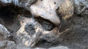 Le crâne découvert à Dmanisi, en Géorgie.