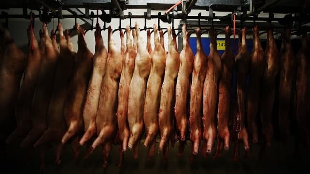 L'ensemble de l'abattoir est inutilisable, photo d'illustration.