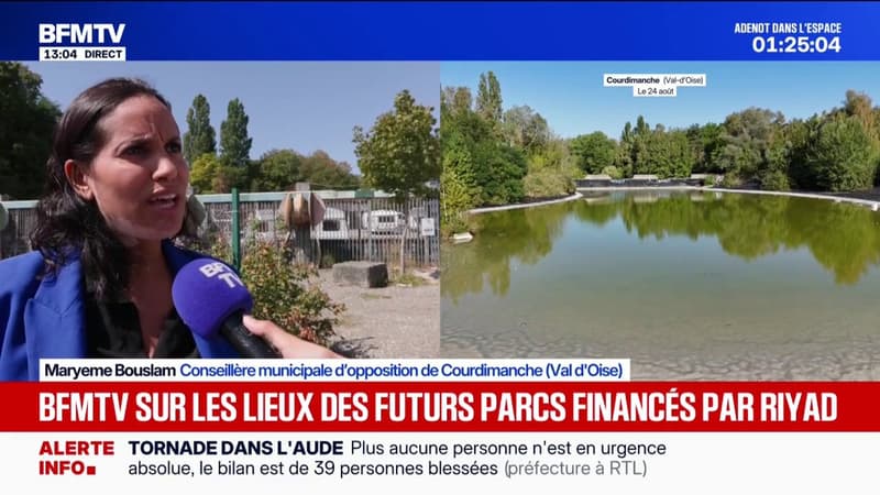 A Courdimanche, le projet d'un nouveau parc d'attraction soulève de nombreuses questions