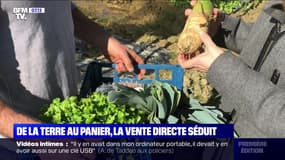 De la terre au panier, la vente directe séduit - 25/02