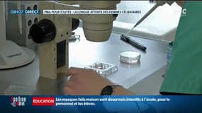 "PMA pour toutes": la lassitude des patientes en attente de l’adoption du projet de loi bioéthique