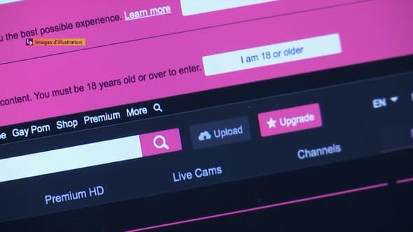 Un site pornographique (image d'illustration)