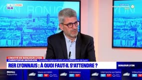 Augmentation du cadencement des trains, amplitude horaire plus large, tarification généralisé... à quoi devrait ressembler le RER à la lyonnaise?