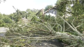 Des dégâts dans le Morbihan après un violent coup de vent le 2 septembre 2025