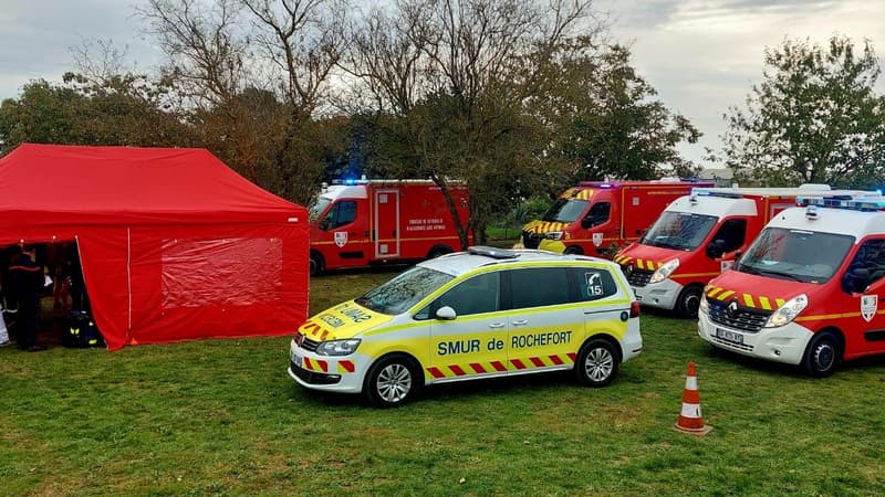 Plus de trente participants à une course ont été piqués par des frelons ce dimanche 19 octobre à Trizay, en Charente-Maritime.