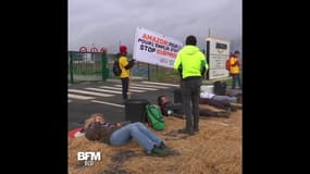 "Block Friday": l'entrepôt d'Amazon de Brétigny-sur-Orge bloqué par des militants écolos